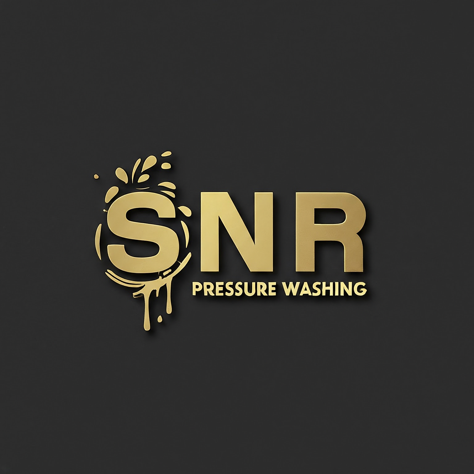 SNR Pressure Washing Team - Saul and Roman