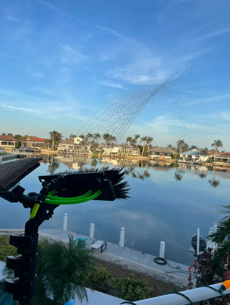 Professional SNR window-cleaning tools and gear used on residential properties