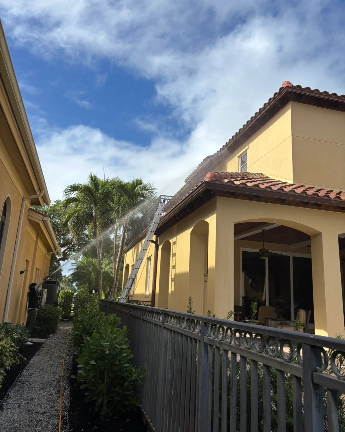 Home siding after SNR exterior house washing, with algae and dirt removed