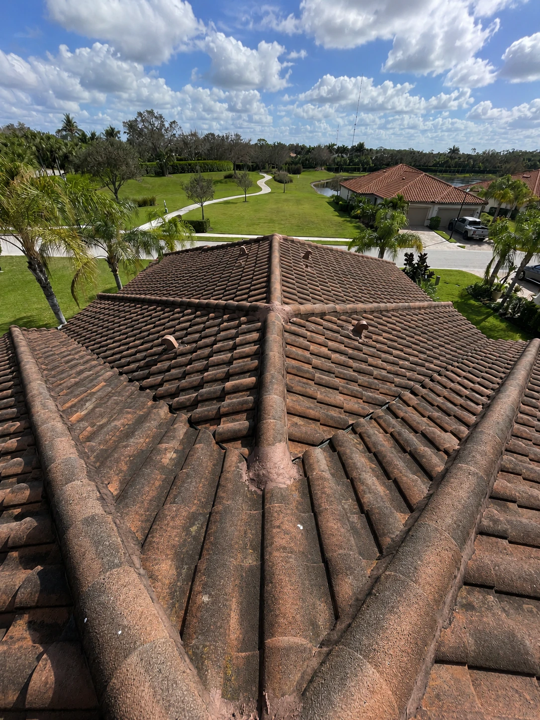 Roof before professional soft washing, covered in black algae streaks and stains