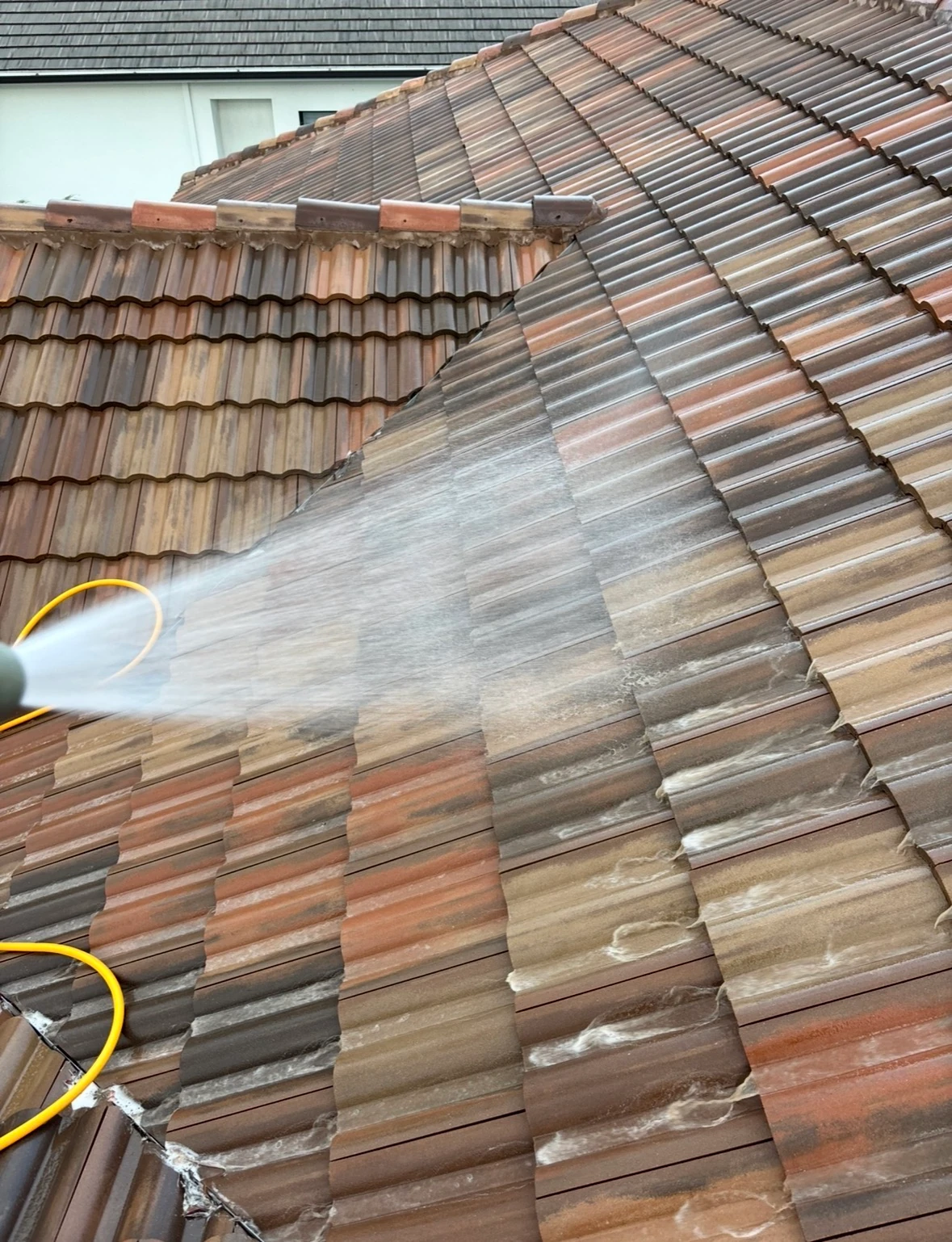 Shingle roof after an SNR soft-wash service, restored to an even, uniform finish