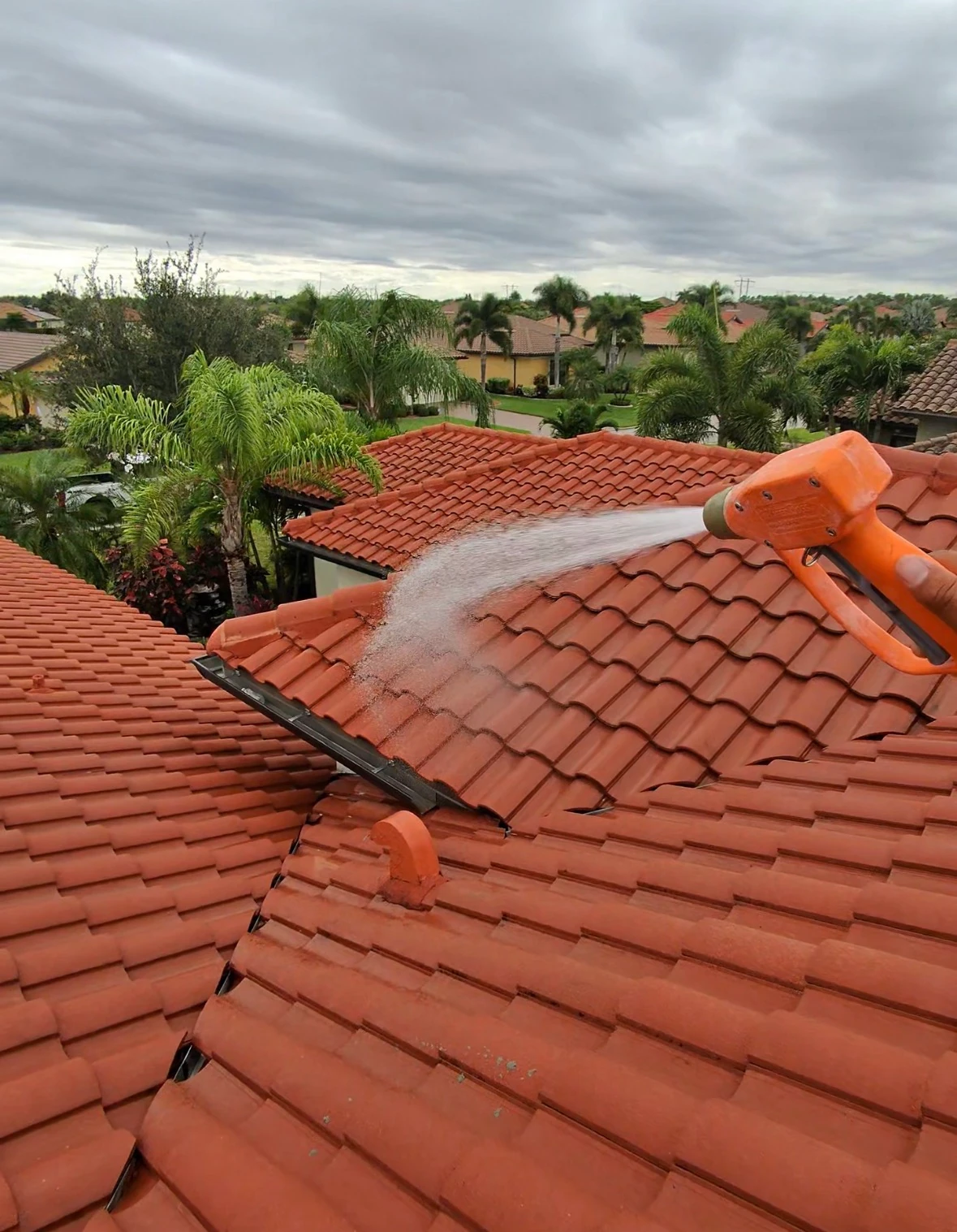 Discolored shingle roof restored to a bright, clean finish after SNR soft washing